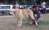 Filename=Image17a.jpg
Filesize=100KiB
Dimensions=1200x748
Date added=%871 %24, %2012 Image17a.jpg