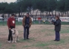 Filename=Image17aaa.jpg
Filesize=91KiB
Dimensions=1200x857
Date added=%871 %24, %2012 Image17aaa.jpg