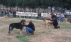 Filename=Image18.jpg
Filesize=118KiB
Dimensions=1200x713
Date added=%871 %24, %2012 Image18.jpg