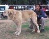 Filename=Image18a.jpg
Filesize=113KiB
Dimensions=1200x950
Date added=%871 %24, %2012 Image18a.jpg
