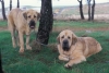 Filename=Image20bb.jpg
Filesize=80KiB
Dimensions=1200x807
Date added=%871 %24, %2012 Image20bb.jpg