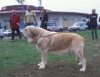 Filename=Image21bb.jpg
Filesize=93KiB
Dimensions=1200x929
Date added=%871 %24, %2012 Image21bb.jpg