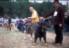 Filename=Image24.jpg
Filesize=76KiB
Dimensions=1200x848
Date added=%871 %24, %2012 Image24.jpg