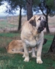 Filename=Image25bb.jpg
Filesize=64KiB
Dimensions=960x1200
Date added=%871 %24, %2012 Image25bb.jpg