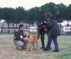Filename=Image37bb.jpg
Filesize=97KiB
Dimensions=1200x1004
Date added=%871 %24, %2012 Image37bb.jpg