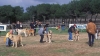 Filename=Image45bb.jpg
Filesize=90KiB
Dimensions=1200x672
Date added=%871 %24, %2012 Image45bb.jpg