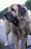 Filename=Image7bb.jpg
Filesize=47KiB
Dimensions=760x1200
Date added=%871 %24, %2012 Image7bb.jpg