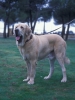 Filename=Image9-merlin.jpg
Filesize=64KiB
Dimensions=902x1200
Date added=%871 %24, %2012 Image9-merlin.jpg