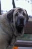 Filename=Image9bb.jpg
Filesize=44KiB
Dimensions=787x1200
Date added=%871 %24, %2012 Image9bb.jpg
