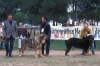 Filename=sultan-baltasar.jpg
Filesize=123KiB
Dimensions=1200x795
Date added=%871 %24, %2012 sultan-baltasar.jpg