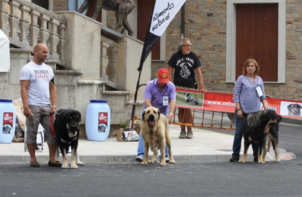 Open Class Females - Villafranca del Bierzo 06.09.2014
Keywords: 2014