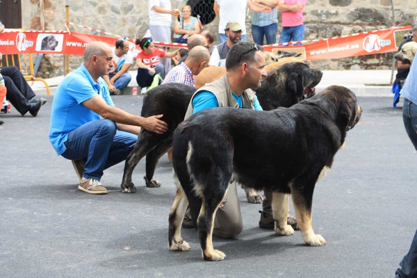 Open Class Females - Villafranca del Bierzo 06.09.2014
Keywords: 2014