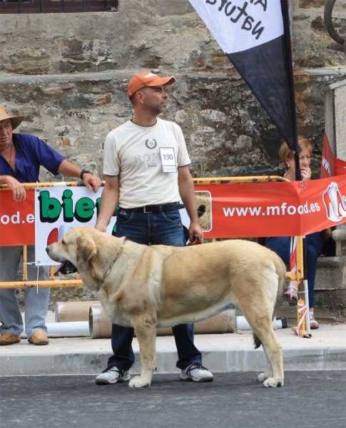 Open Class Females - Villafranca del Bierzo 06.09.2014
Keywords: 2014