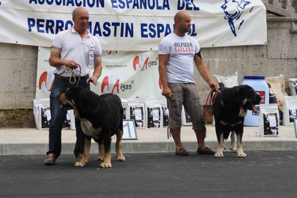 Open Class Females - Villafranca del Bierzo 06.09.2014
Keywords: 2014