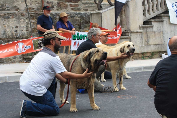 Open Class Females - Villafranca del Bierzo 06.09.2014
Keywords: 2014