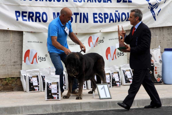 Open Class Females - Villafranca del Bierzo 06.09.2014
Keywords: 2014