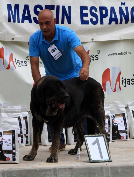 Open Class Females - Villafranca del Bierzo 06.09.2014
Keywords: 2014