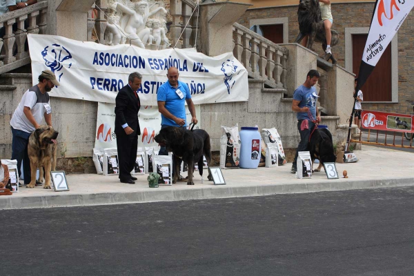 Open Class Females - Villafranca del Bierzo 06.09.2014
Keywords: 2014