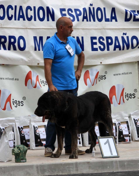 Open Class Females - Villafranca del Bierzo 06.09.2014
Keywords: 2014