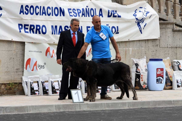 Open Class Females - Villafranca del Bierzo 06.09.2014
Keywords: 2014