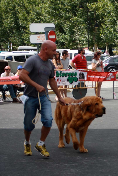 Open Class Males - Villafranca del Bierzo 06.09.2014
Keywords: 2014