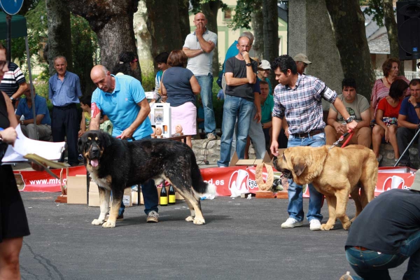 Open Class Males - Villafranca del Bierzo 06.09.2014
Keywords: 2014