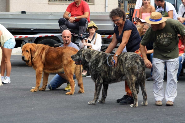 Open Class Males - Villafranca del Bierzo 06.09.2014
Keywords: 2014