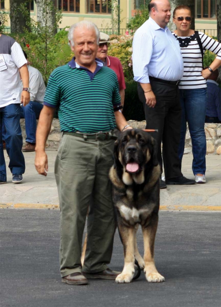 Open Class Males - Villafranca del Bierzo 06.09.2014
Keywords: 2014