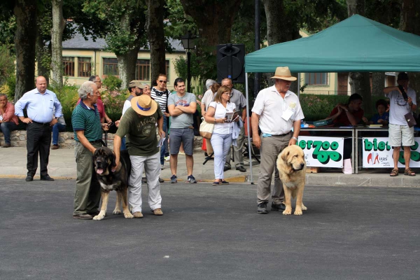 Open Class Males - Villafranca del Bierzo 06.09.2014
Keywords: 2014