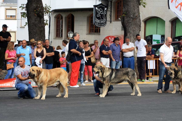 Open Class Males - Villafranca del Bierzo 06.09.2014
Keywords: 2014