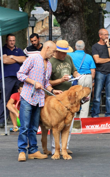 Open Class Males - Villafranca del Bierzo 06.09.2014
Keywords: 2014