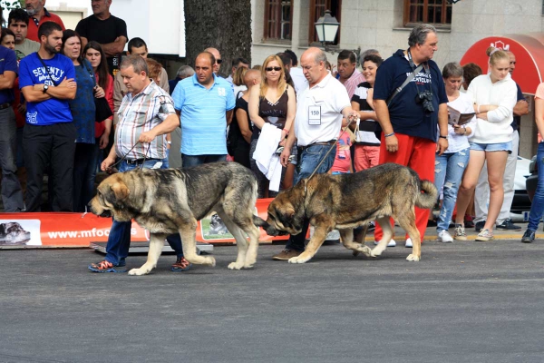 Open Class Males - Villafranca del Bierzo 06.09.2014
Keywords: 2014