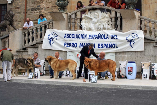 Open Class Males - Villafranca del Bierzo 06.09.2014
Keywords: 2014