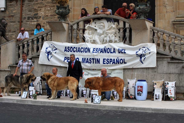 Open Class Males - Villafranca del Bierzo 06.09.2014
Keywords: 2014