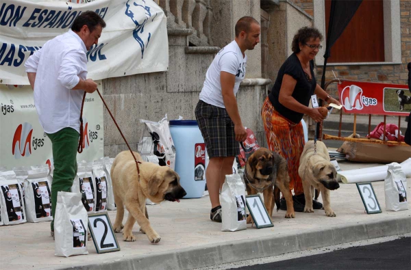 Baby Class - Villafranca del Bierzo, 06.09.2014
Keywords: 2014