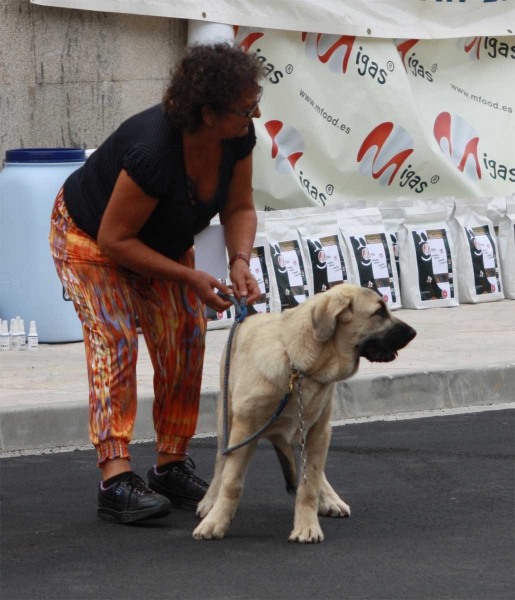 Baby Class, Villafranca del Bierzo, 06.09.2014
Keywords: 2014