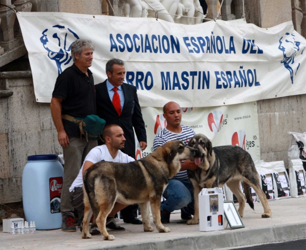 Best Puppy - Villafranca del Bierzo, 06.09.2014
Keywords: 2014