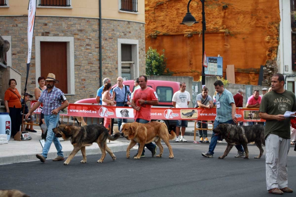 Junior Class Males - Villafranca del Bierzo, 06.09.2014
Keywords: 2014