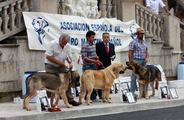 Junior Class Males - Villafranca del Bierzo, 06.09.2014
Keywords: 2014