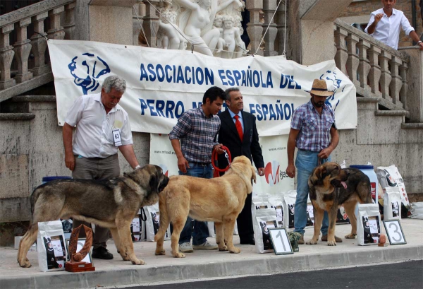 Junior Class Males - Villafranca del Bierzo, 06.09.2014
Keywords: 2014