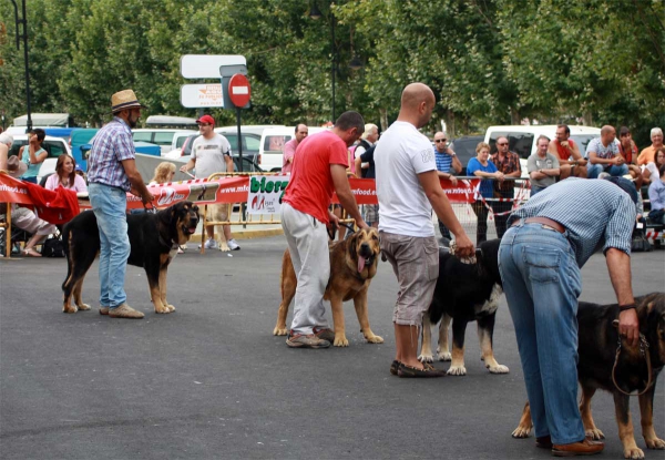 Junior Class Females - Villafranca del Bierzo, 06.09.2014
Keywords: 2014