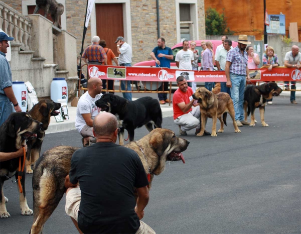 Junior Class Males - Villafranca del Bierzo, 06.09.2014
Keywords: 2014