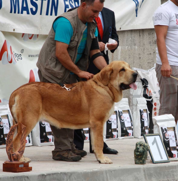 Junior Class Females - Villafranca del Bierzo, 06.09.2014
Keywords: 2014