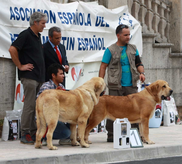 Best Junior - Villafranca del Bierzo, 06.09.2014
Keywords: 2014