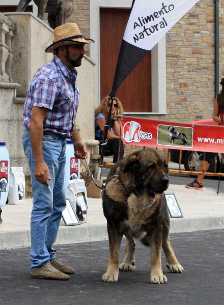 Veteran Class Males - Villafranca del Bierzo 06.09
Keywords: 2014