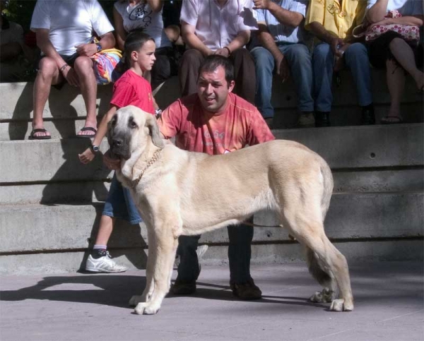 Puppy Class - Monográfica AEPME, Valencia de Don Juan, León 02.09.2006
Keywords: 2006