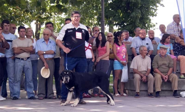 Puppy Class - Monográfica AEPME, Valencia de Don Juan, León 02.09.2006
Keywords: 2006