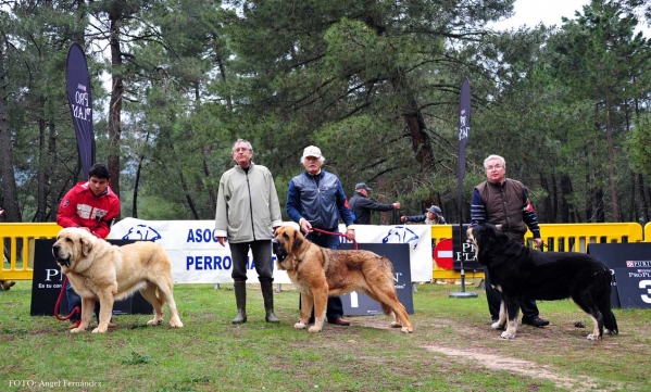 Final Open Class Males, Riopar, Albacete, Spain, 27.03.2013
Keywords: 2013