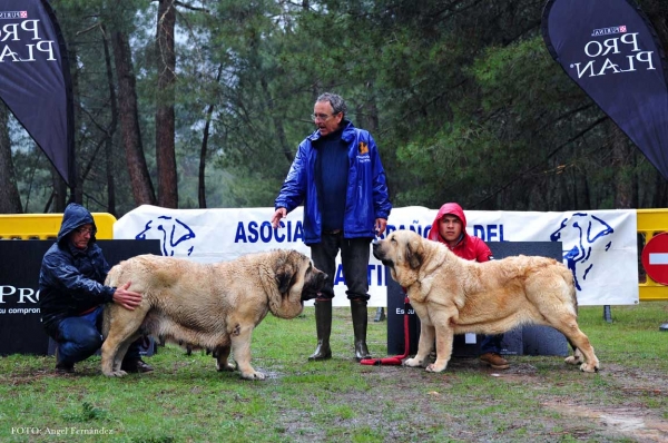 Final Females, Riopar, Albacete, Spain, 27.03.2013
Keywords: 2013