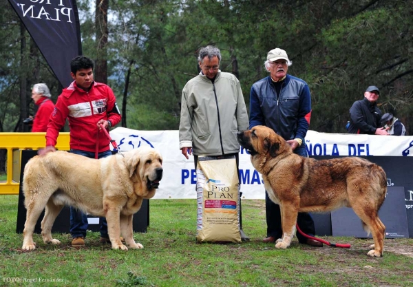 Nabuco & Cash, Riopar, Albacete, Spain, 27.03.2013
Keywords: 2913